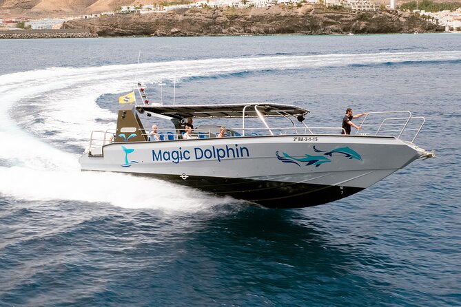 Morro Jable: 2 Hours Magic Dolphin & Whale watching with Drinks & Swim Stop. - Value check: does $59.13 make sense?