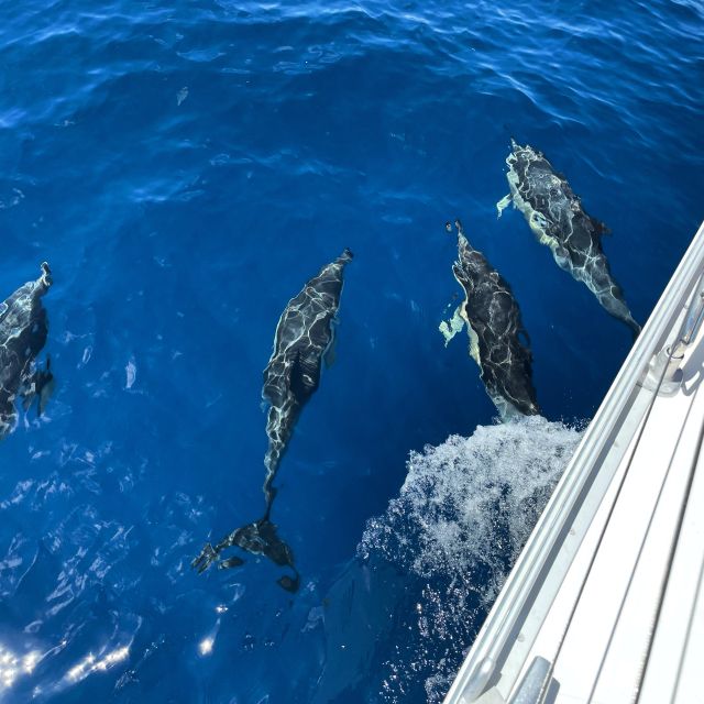 Morro Jable: Sailing Boat Excursion with Food and Drinks - Morro Jable at sea: why this 3.5-hour sail clicks
