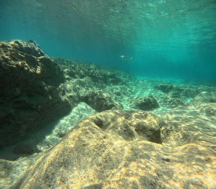 Morro Jable: Try Diving Experience for Beginners - Key highlights I’d plan around