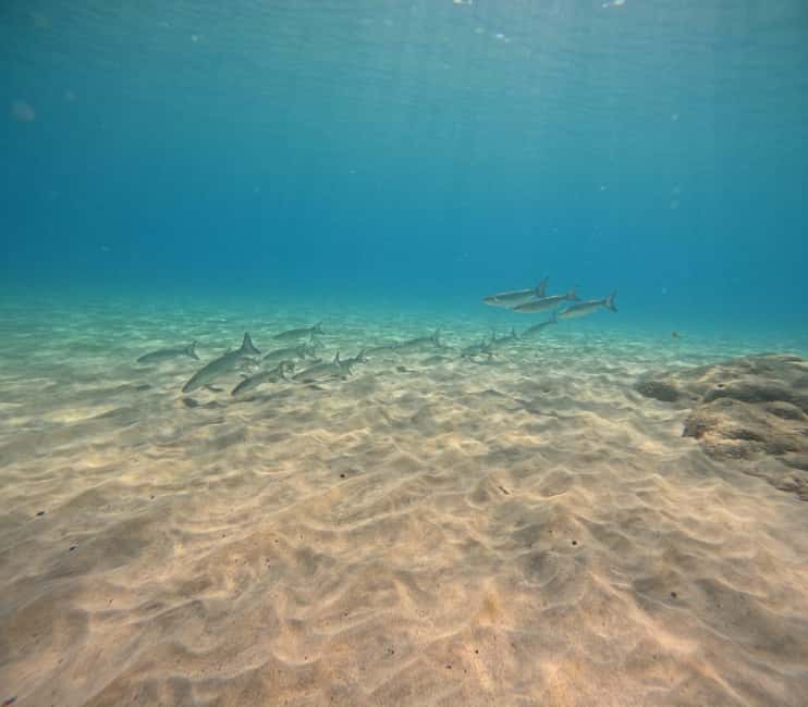 Morro Jable: Try Diving Experience for Beginners - The 30-minute safety briefing: where beginners get real help