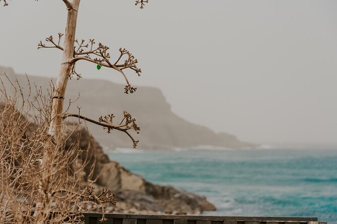 North Central Fuerteventura - Tour with photo shoot - Puertito de Los Molinos: photo break plus a breather