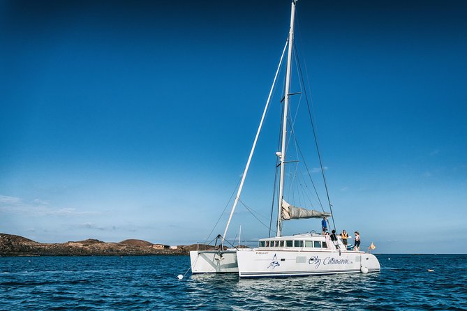 OBY Catamaran - Price and value: why $83.48 feels fair here