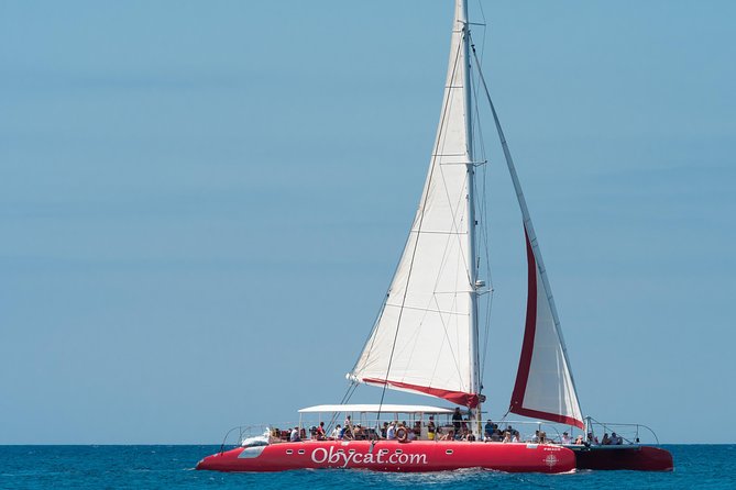 OBYCAT Experience - Sailing from Caleta de Fuste to Pozo Negro: the 4-hour rhythm