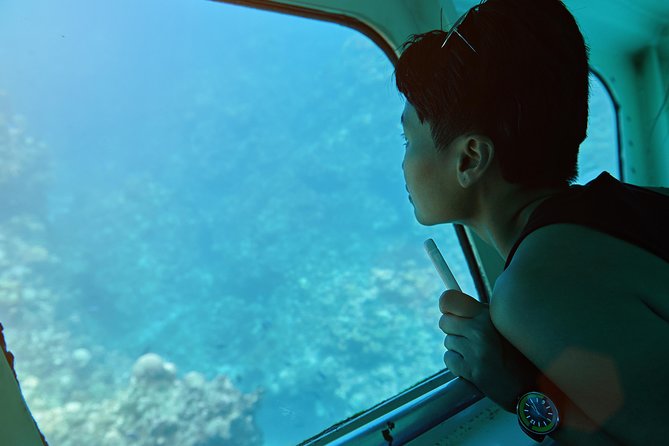 Odyssee 3: The Glass Bottom Boat Tour in Fuerteventura - Why the Odyssee 3 feels like a water playground in Fuerteventura