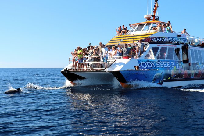 Odyssee 3: The Glass Bottom Boat Tour in Fuerteventura - Lunch with Canarian flavor plus an open bar break