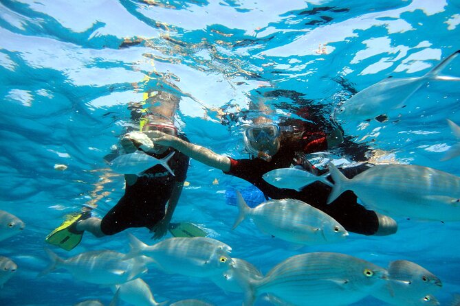 Private Catamaran trips to Lobos Island in Lagoon 400 - Lobos Island time: snorkeling, swimming, and kayaking on your schedule