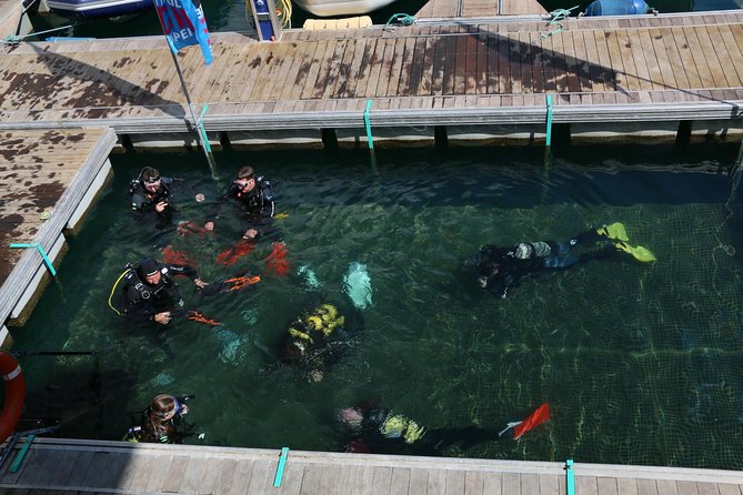 Scuba Diving Baptism in Caleta de Fuste - Scuba Baptism in Caleta de Fuste: What You Actually Learn