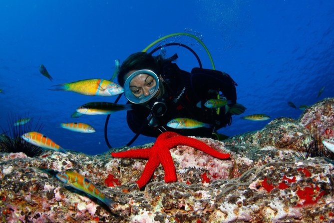 Scuba Diving Baptism in Caleta de Fuste - Pool Time at Around 1 Meter: Why It’s the Right Kind of Scary