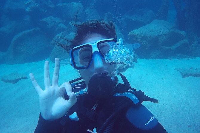 Scuba Diving Baptism in Caleta de Fuste - Photos Included: Leaving With Proof That You Did It