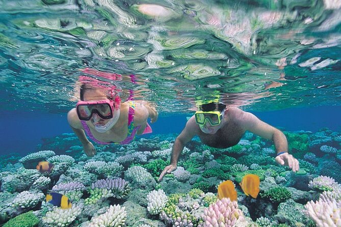 Snorkel Experience in Caleta de Fuste - Who this tour suits best (and who might want another option)