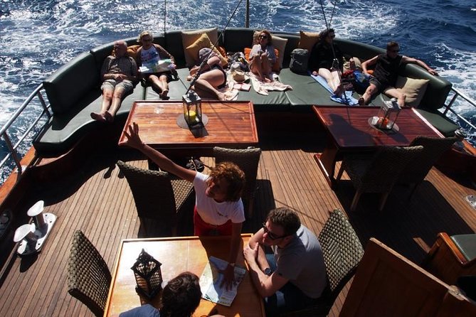 South Fuerteventura VIP Cruise on board a Turkish Gulet - Sailing the South Coast: What You’ll See Between Port and Gui-Gui