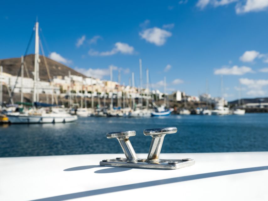 Southeast Fuerteventura: Boat Cruise with Lunch and Drinks - The catamaran setup: hammocks, music, and where to sit for sea views