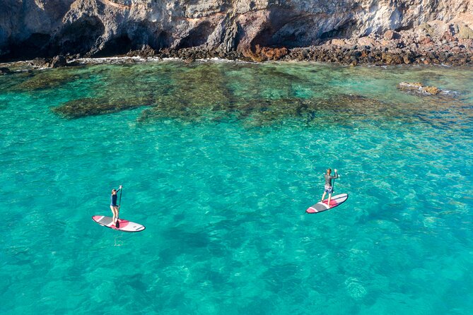 SUP taster course in the picturesque bay of Morro Jable - On the Water: Gliding in Clear Warm Water With Fish Under Your Board