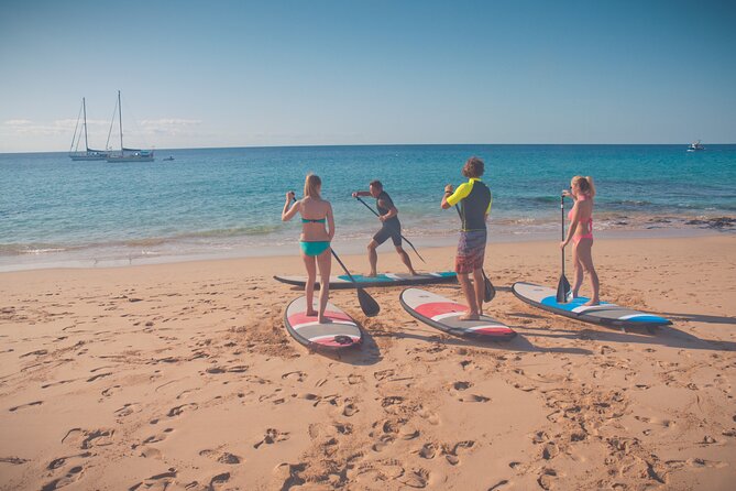 SUP taster course in the picturesque bay of Morro Jable - Who This SUP Taster Works Best For