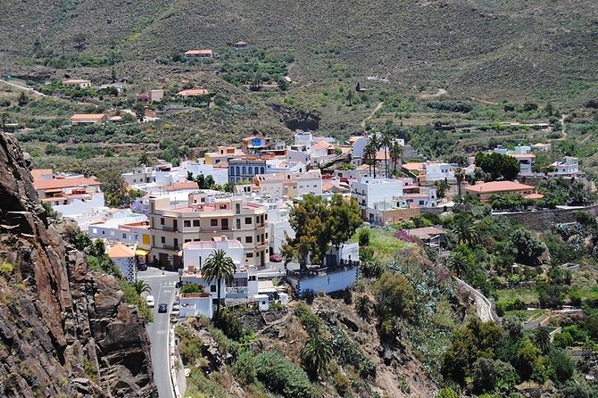Tastes of Fuerteventura Minivan VIP Tour - Key highlights worth planning for
