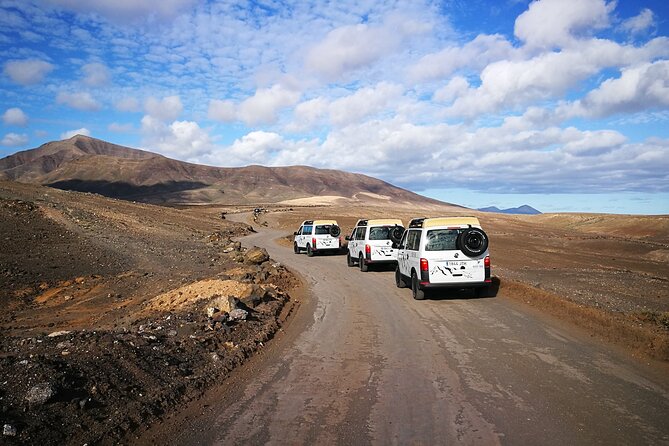 Tastes of Fuerteventura Minivan VIP Tour - South Fuerteventura, done with less hassle