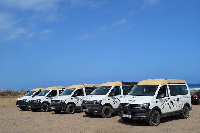 Tastes of Fuerteventura Minivan VIP Tour - Price and value: is $93.49 fair for the day?