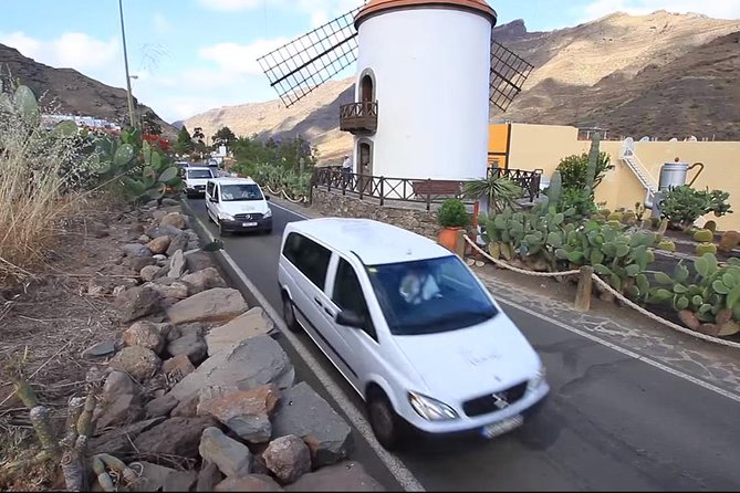 Tastes of Fuerteventura Minivan VIP Tour - Aloe Vera farm: the short stop that actually teaches something