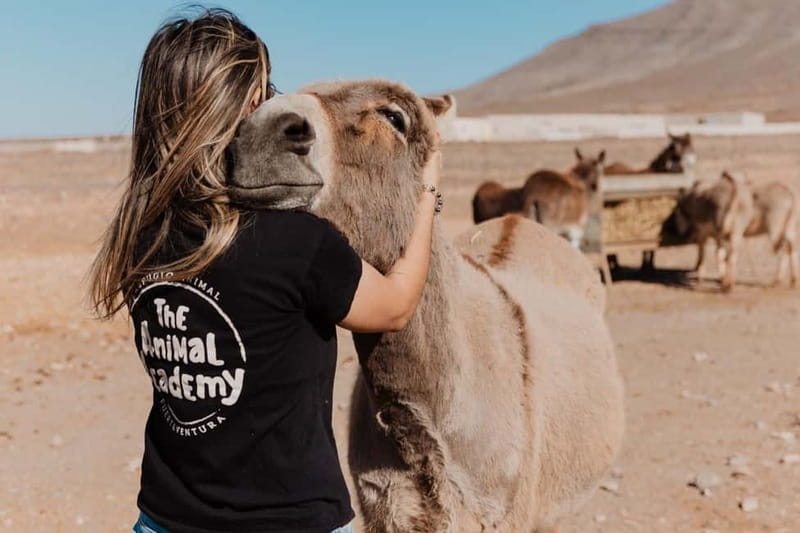 The Animal Academy - Shelter Tour - Key Highlights You’ll Actually Feel
