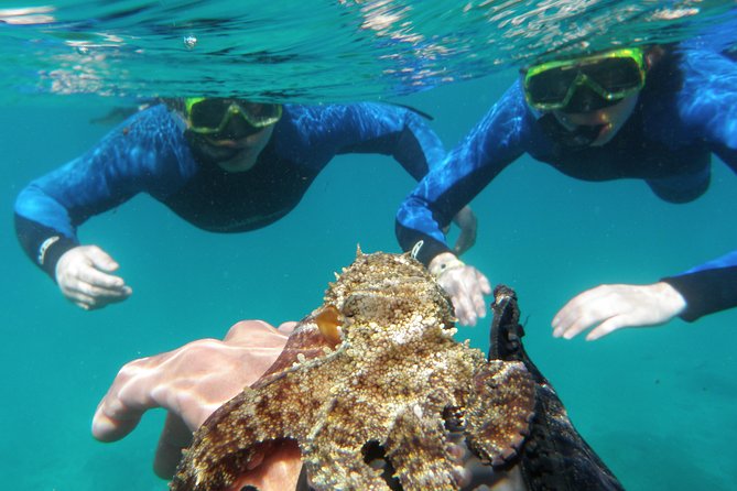 Water Taxi Lobos Island - Your time on Isla de Lobos: a sensible way to plan 2–6 hours